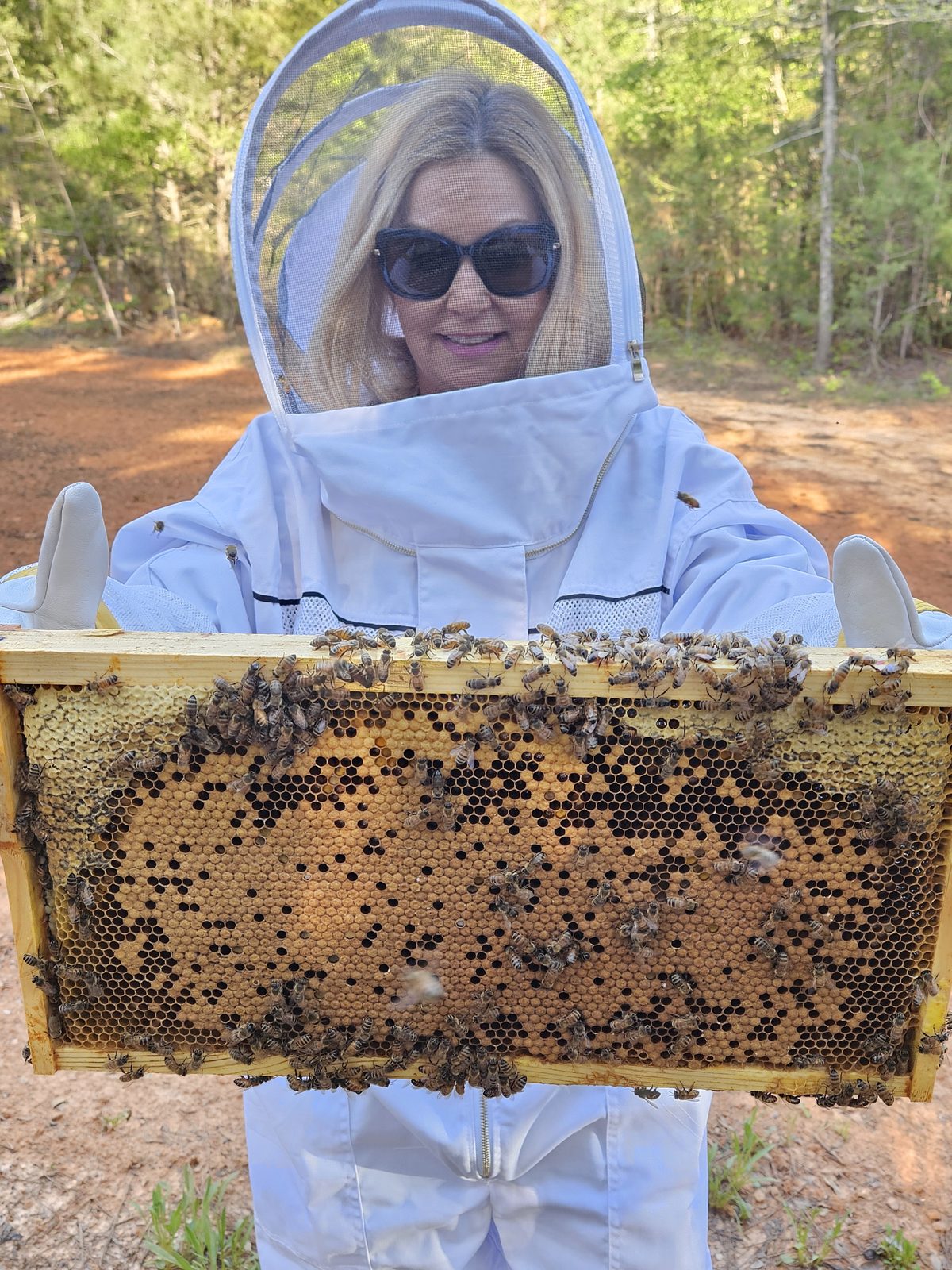 Beekeeper in protective clothing holding a hive frame