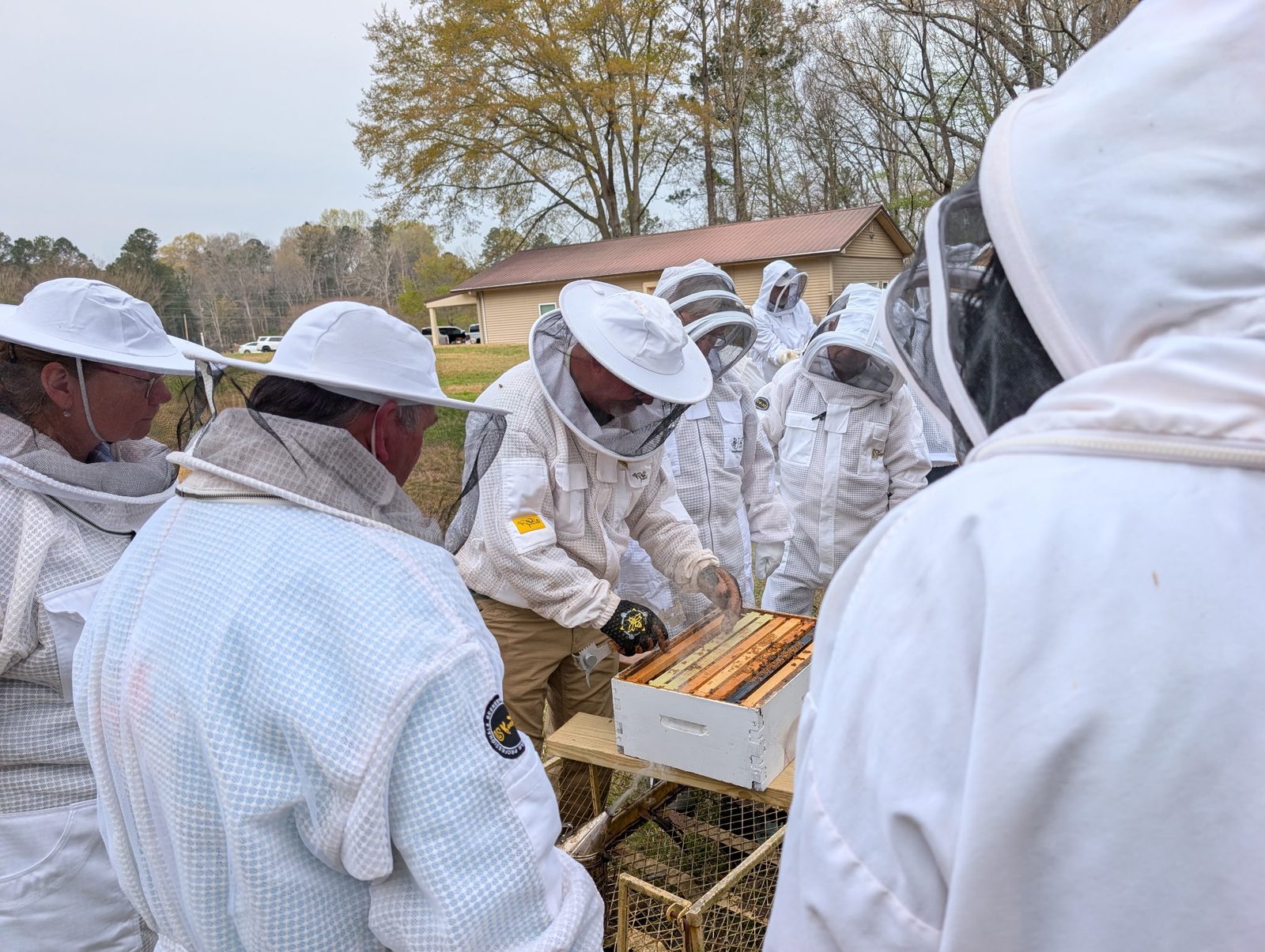 Protected visitors looking at a hive